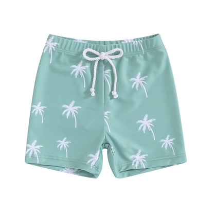 Boys Dinosaur & Coconut Tree Print Swim Shorts